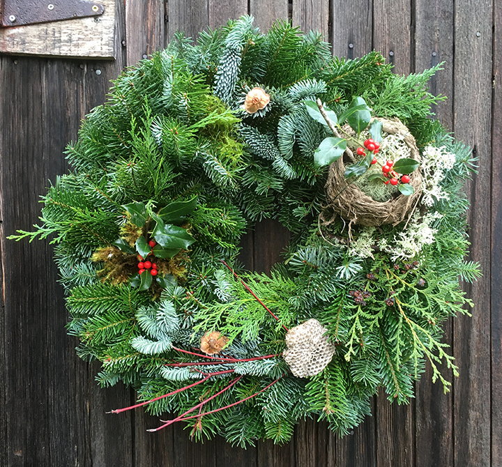 Fruits of the Forest